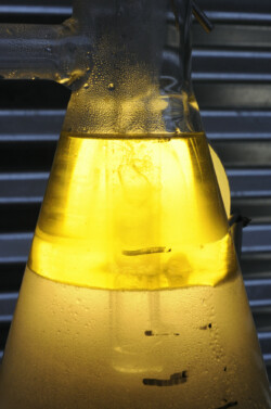 essential oil accumulating in the separator