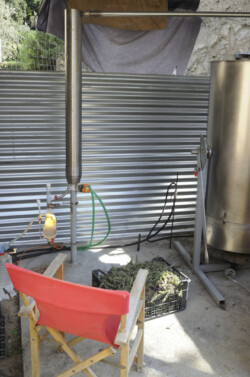 monitoring and adjusting the distillation