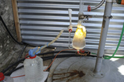 receiving the hydrosol from the separator's overflow