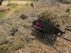 turning the distilled biomass into compost