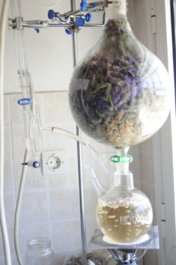 our small glass testing distiller