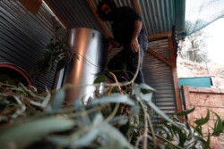 loading the distiller...