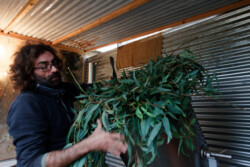 ...all the way to the top